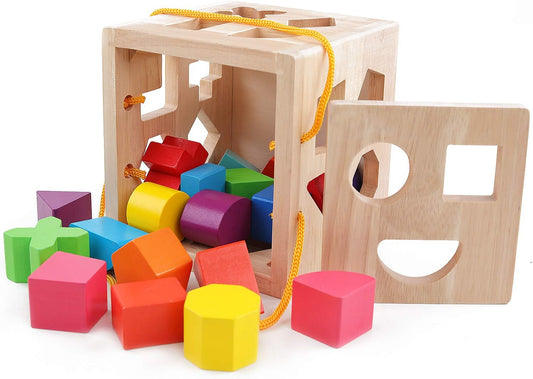 Wooden Shape Sorter Toy